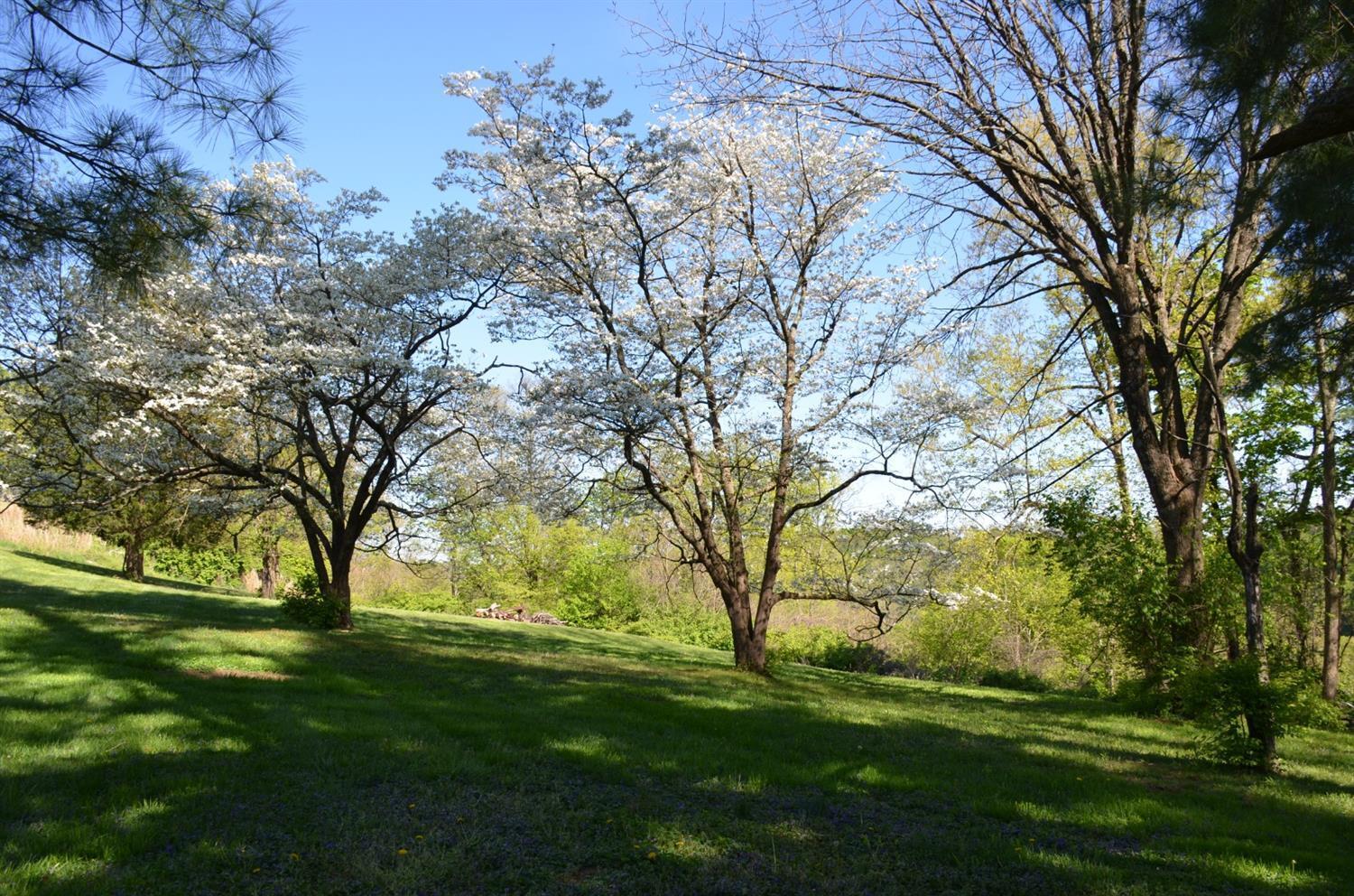 508 Pontius Road Cincinnati, OH 45233 - Photo 10 of 37