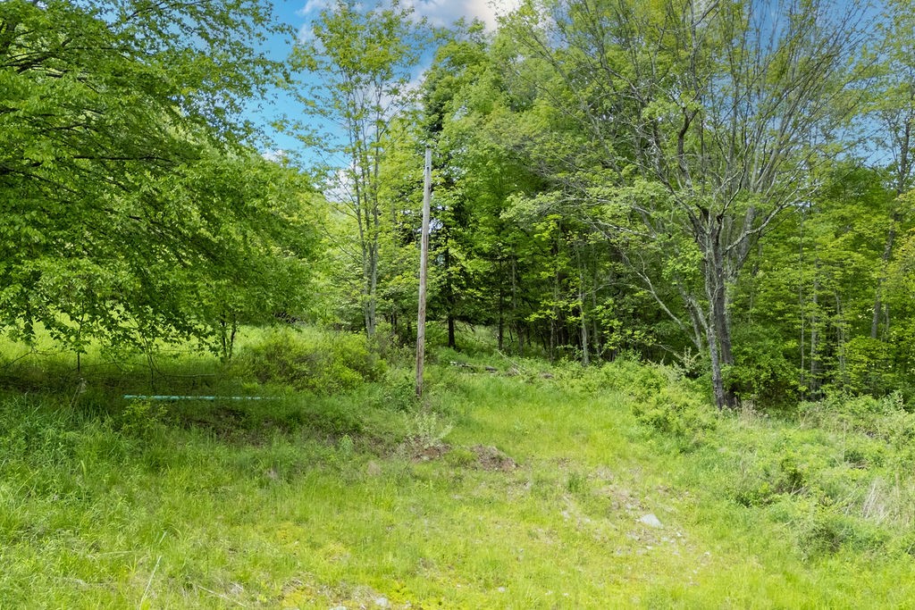 1361 Weaver Hollow Road Andes, NY 12455 - Photo 16 of 23