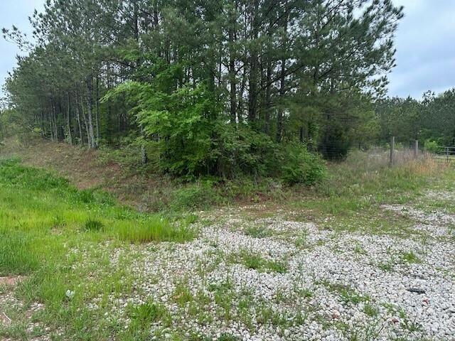 55 Spring Place Road Northeast Cartersville, GA 30121 - Photo 8 of 14 a view of a lush green forest
