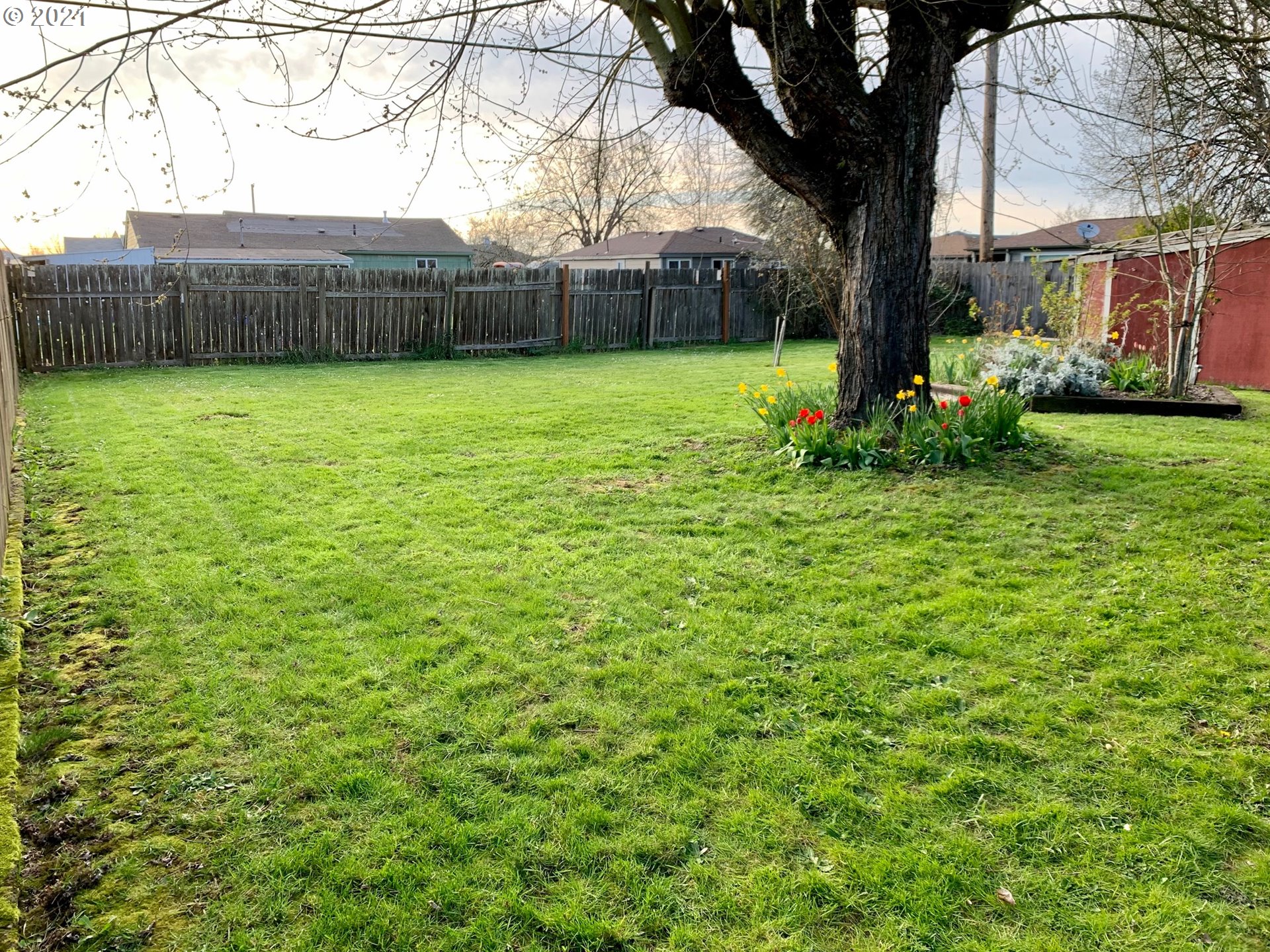 530 North 34th Street Springfield, OR 97478 - Photo 14 of 17 Gallery Image 14
