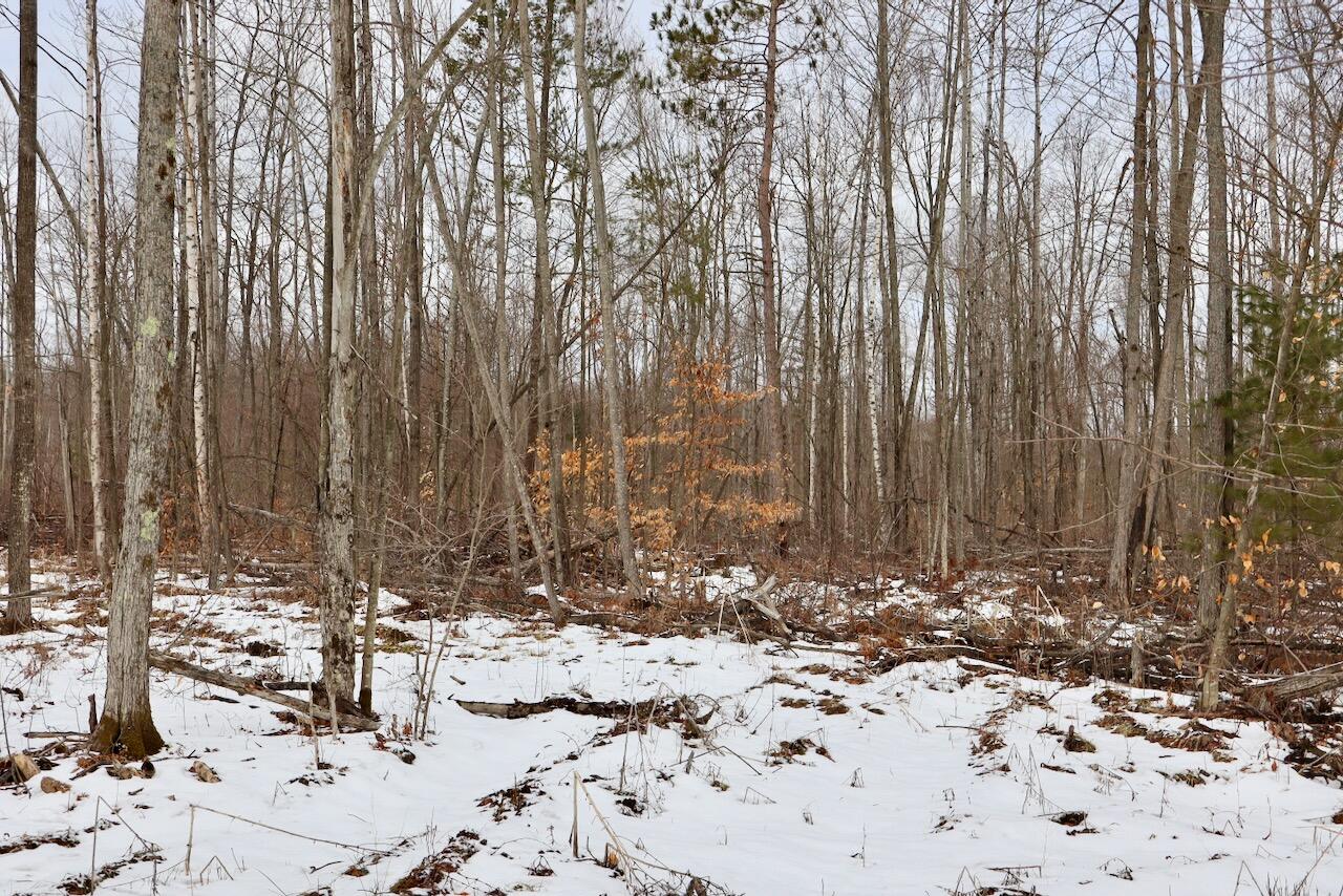 East Long Lake Road, Unit V/L Harrison, MI 48625 - Photo 12 of 38 012