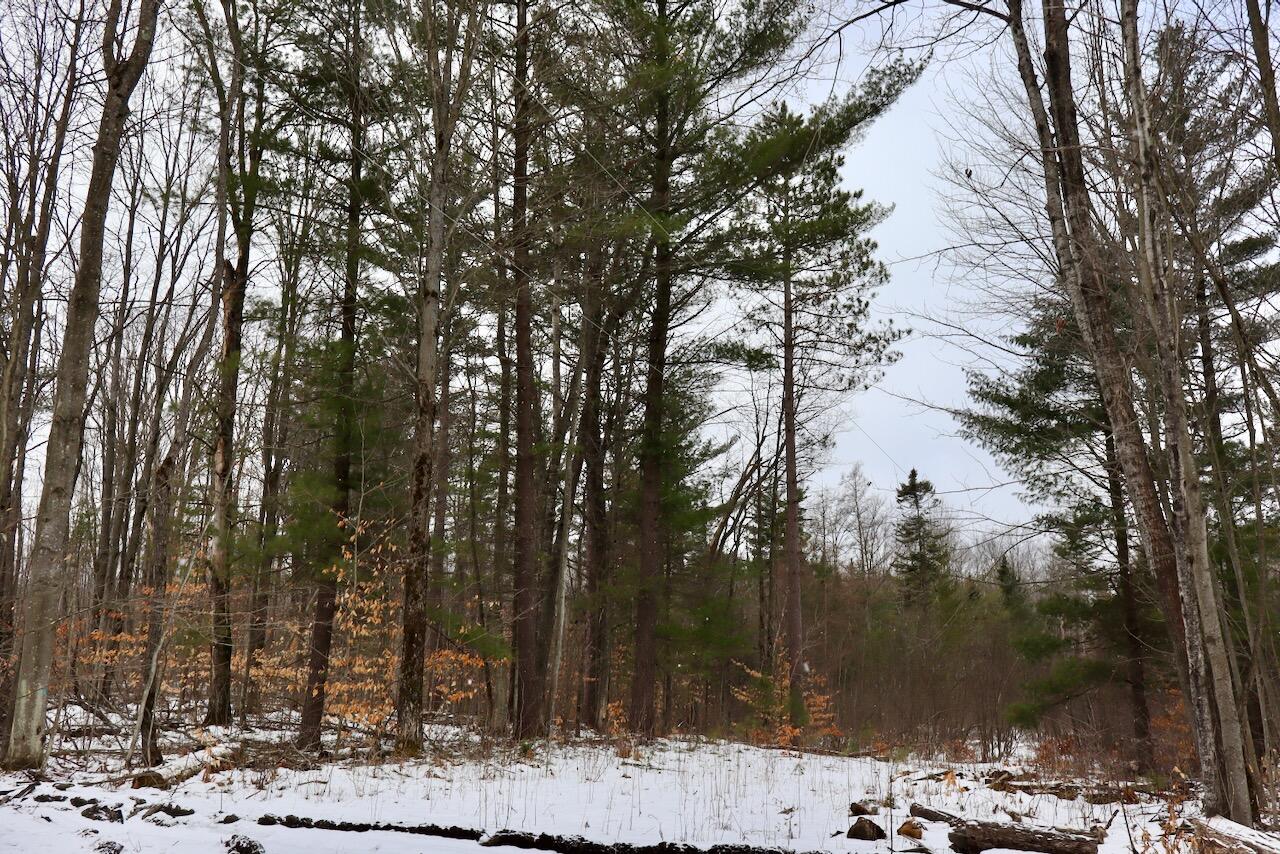 East Long Lake Road, Unit V/L Harrison, MI 48625 - Photo 17 of 38 017