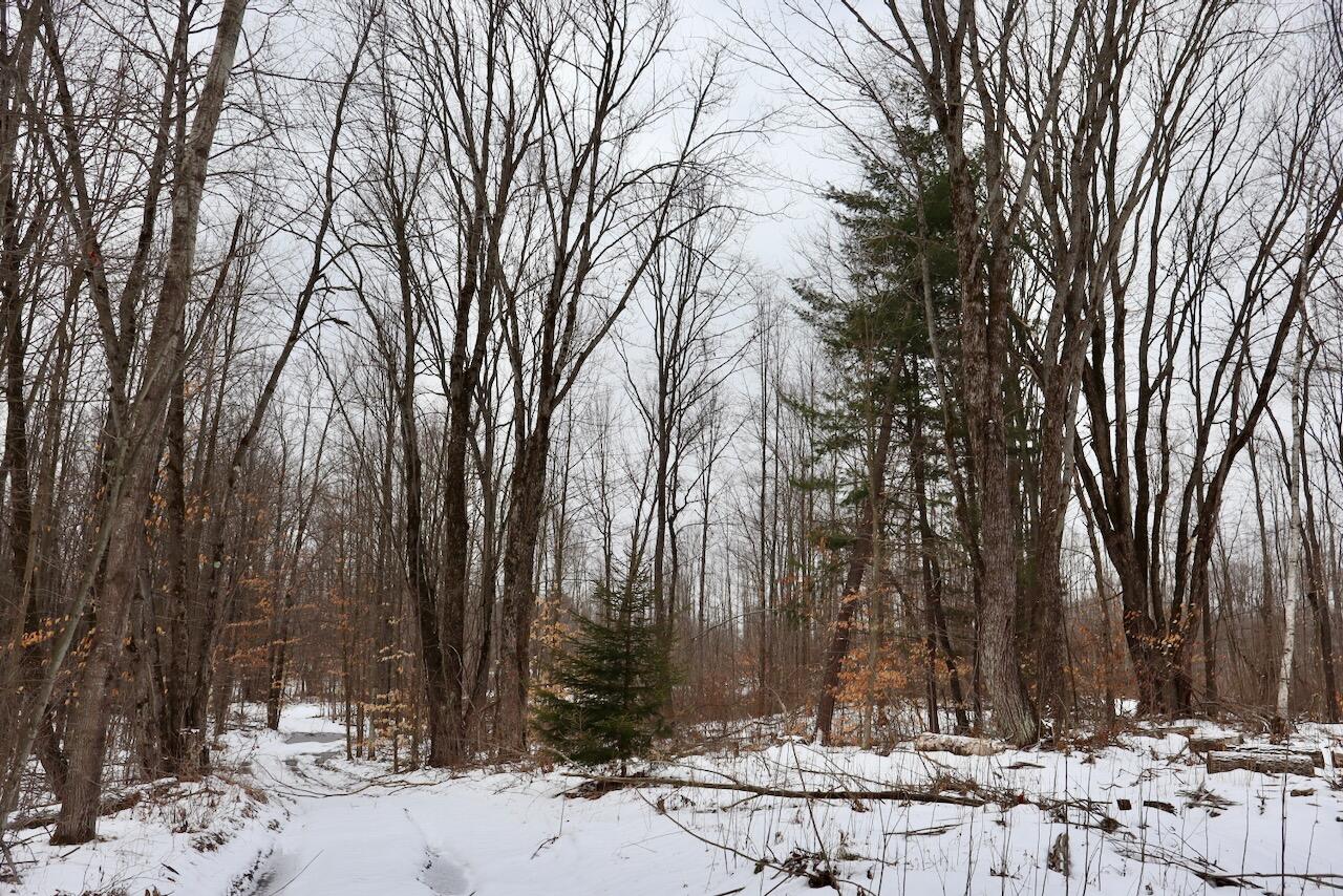 East Long Lake Road, Unit V/L Harrison, MI 48625 - Photo 18 of 38 018