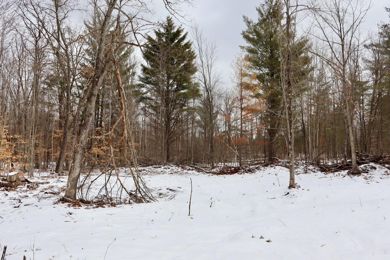 East Long Lake Road, Unit V/L Harrison, MI 48625 - Photo 19 of 38 019