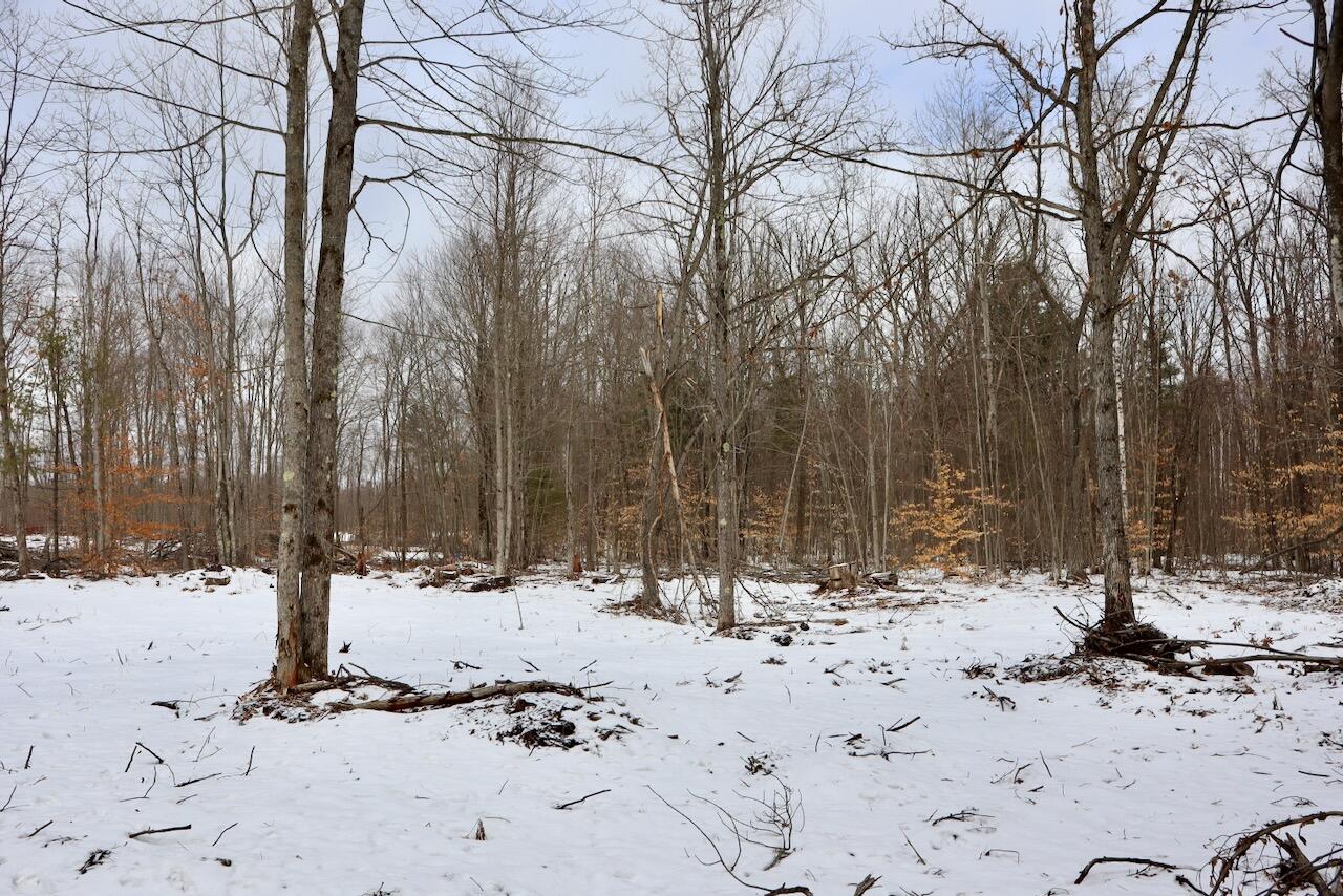 East Long Lake Road, Unit V/L Harrison, MI 48625 - Photo 20 of 38 019(1)