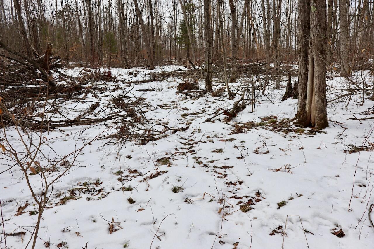 East Long Lake Road, Unit V/L Harrison, MI 48625 - Photo 21 of 38 020