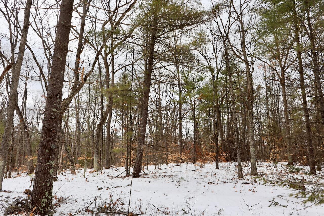 East Long Lake Road, Unit V/L Harrison, MI 48625 - Photo 22 of 38 021