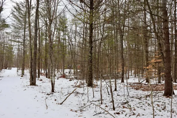 $270,000 | East Long Lake Road, Unit V/L, Harrison, MI 48625