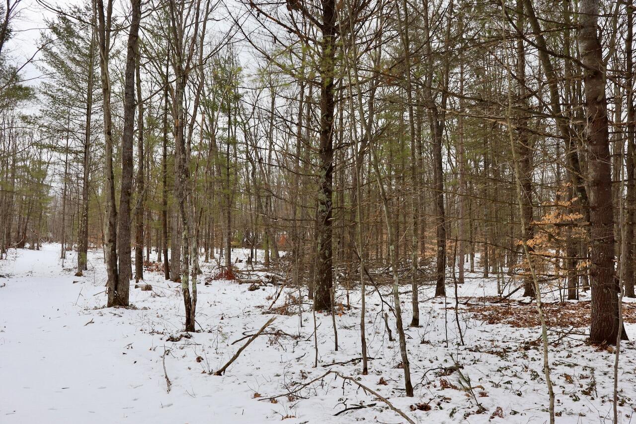 East Long Lake Road, Unit V/L Harrison, MI 48625 - Photo 23 of 38 022