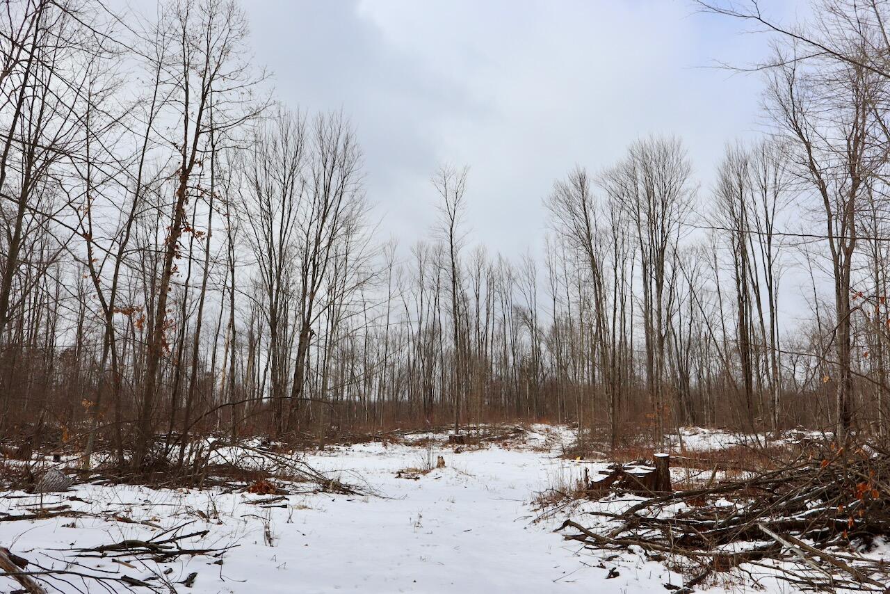 East Long Lake Road, Unit V/L Harrison, MI 48625 - Photo 24 of 38 022(1)