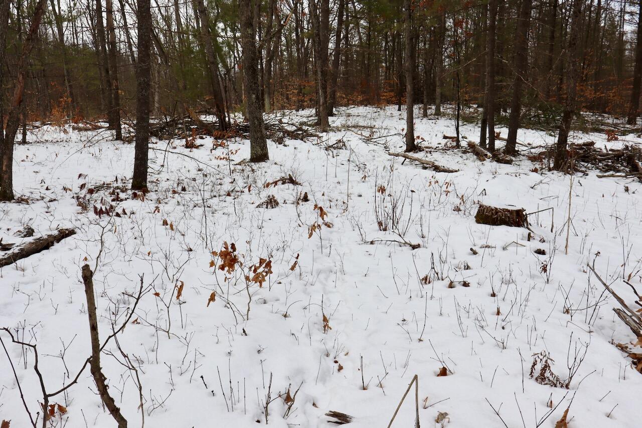 East Long Lake Road, Unit V/L Harrison, MI 48625 - Photo 25 of 38 023