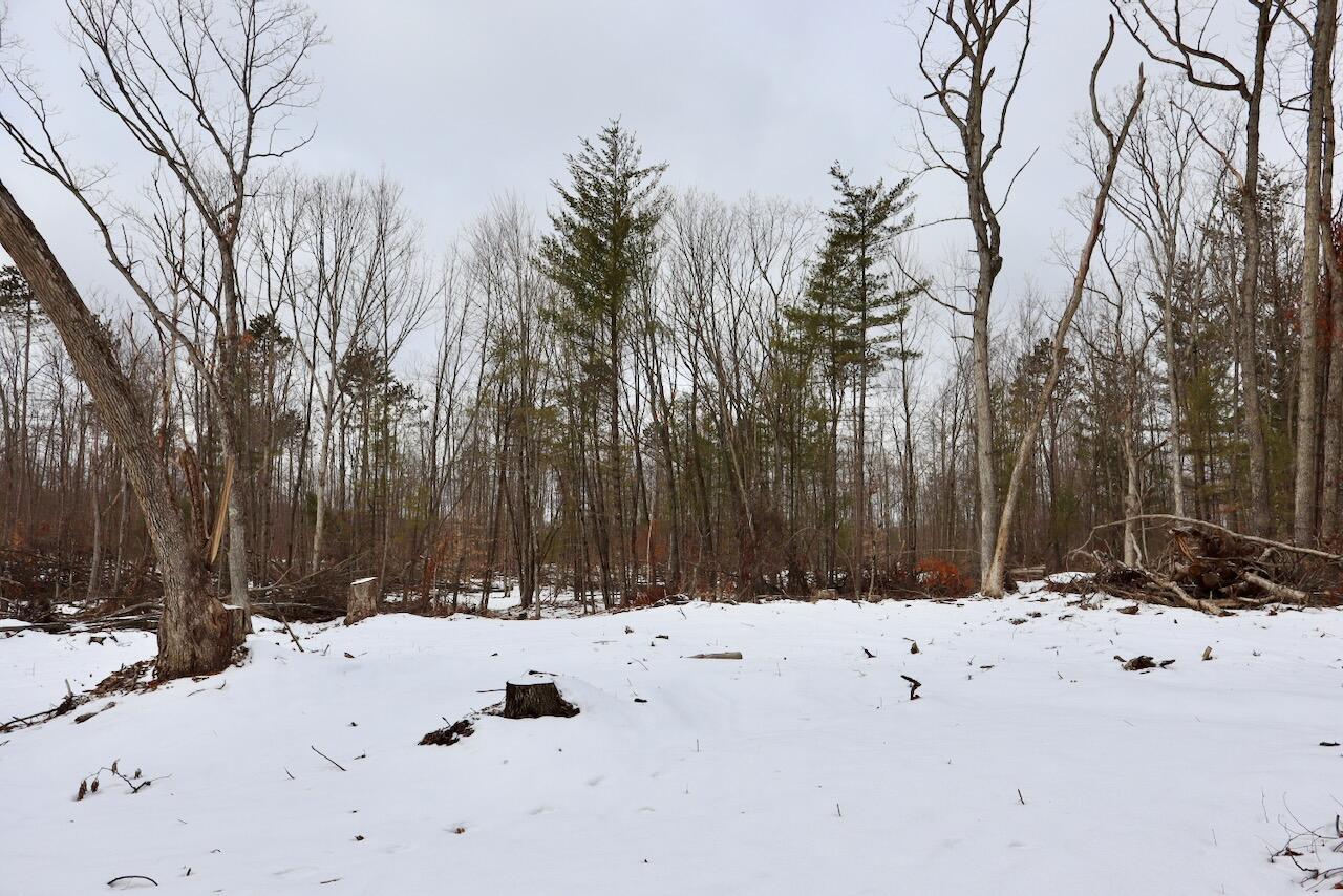 East Long Lake Road, Unit V/L Harrison, MI 48625 - Photo 26 of 38 024