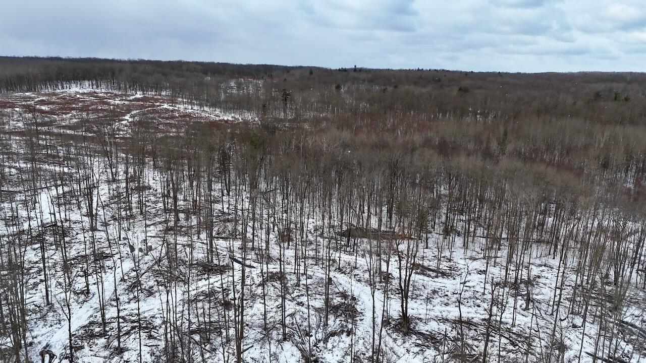 East Long Lake Road, Unit V/L Harrison, MI 48625 - Photo 30 of 38 DJI_20260323113331_0300_D