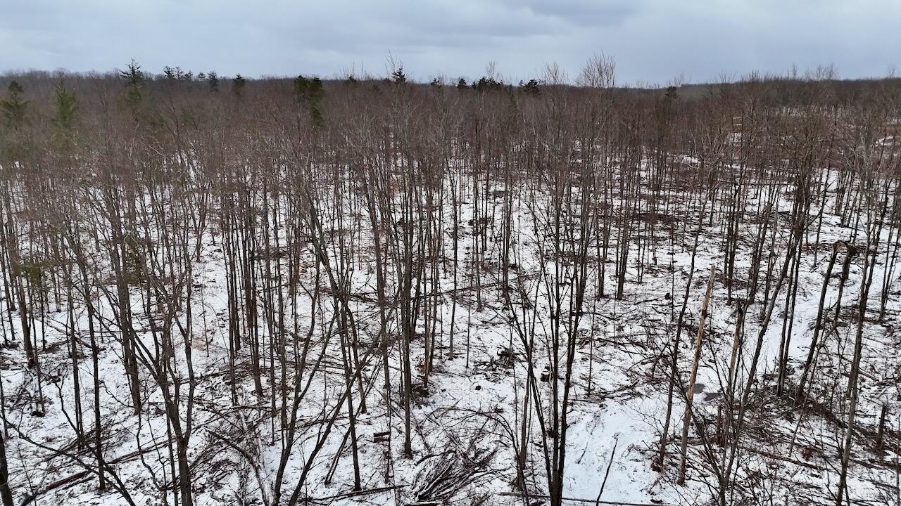 East Long Lake Road, Unit V/L Harrison, MI 48625 - Photo 31 of 38 DJI_20260323113556_0306_D