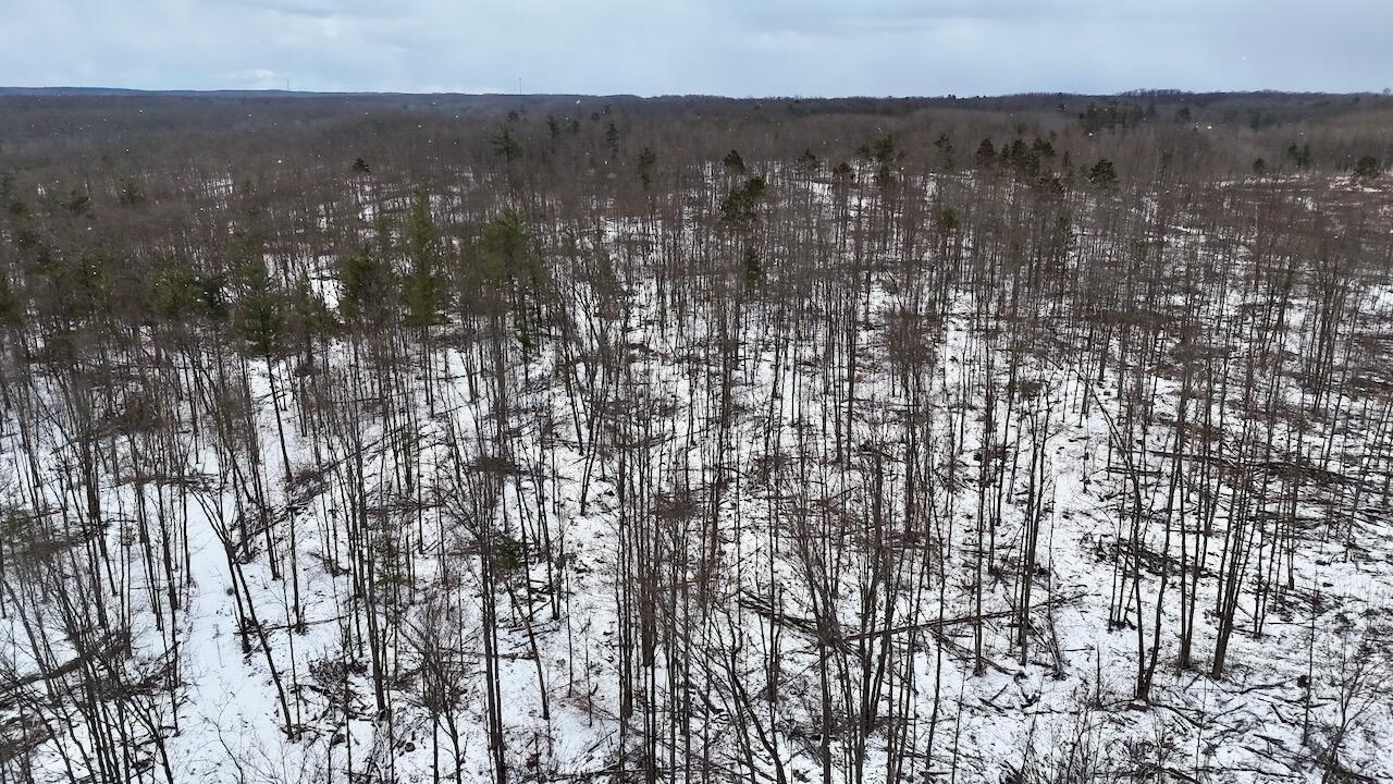 East Long Lake Road, Unit V/L Harrison, MI 48625 - Photo 32 of 38 DJI_20260323113534_0304_D