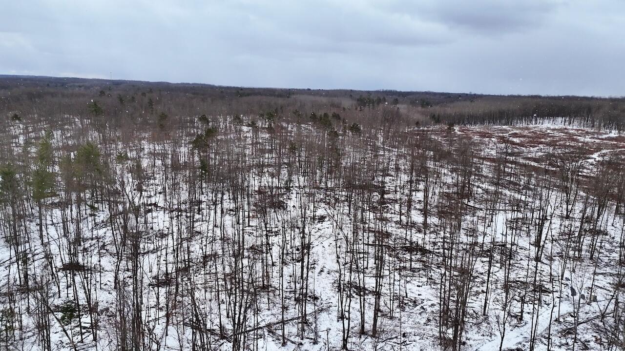 East Long Lake Road, Unit V/L Harrison, MI 48625 - Photo 33 of 38 DJI_20260323113323_0299_D