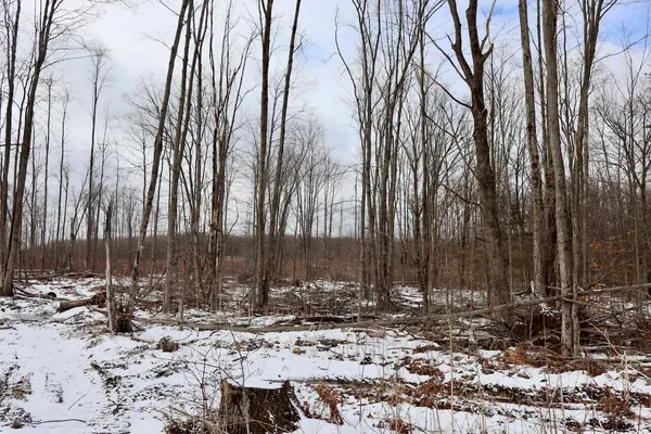 $270,000 | East Long Lake Road, Unit V/L, Harrison, MI 48625