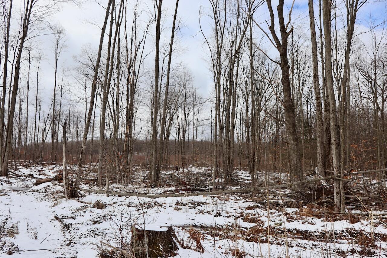 East Long Lake Road, Unit V/L Harrison, MI 48625 - Photo 34 of 38 IMG_2035