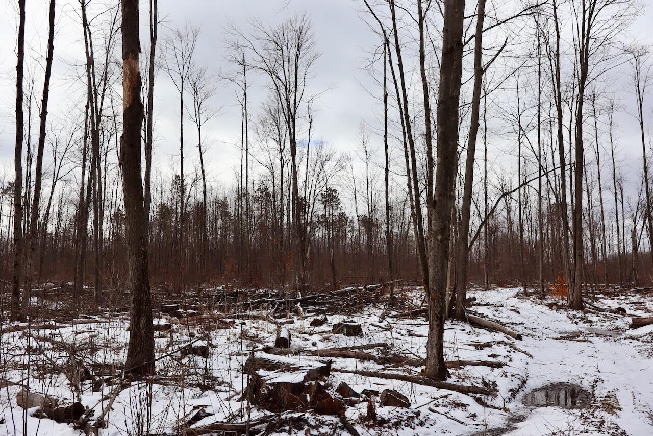 East Long Lake Road, Unit V/L Harrison, MI 48625 - Photo 35 of 38 IMG_2036