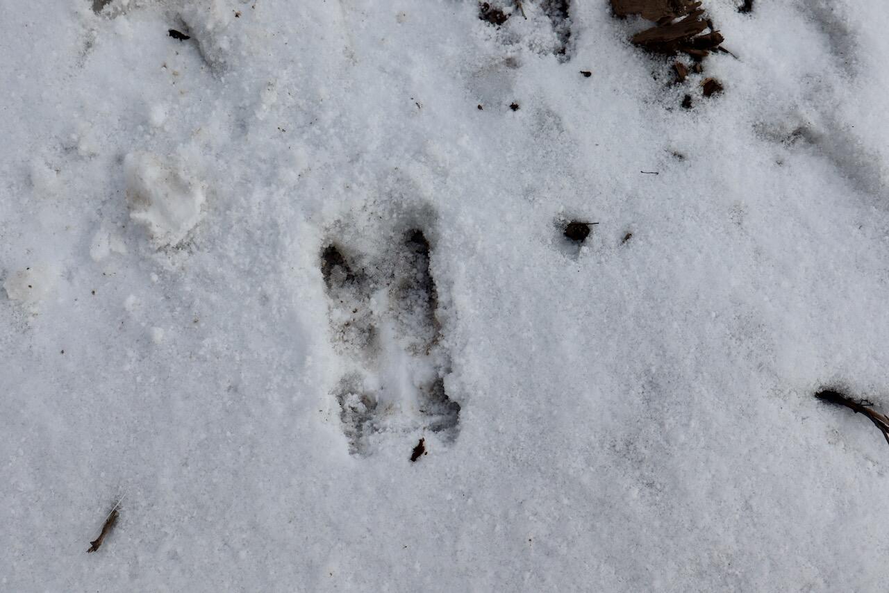 East Long Lake Road, Unit V/L Harrison, MI 48625 - Photo 36 of 38 IMG_2037