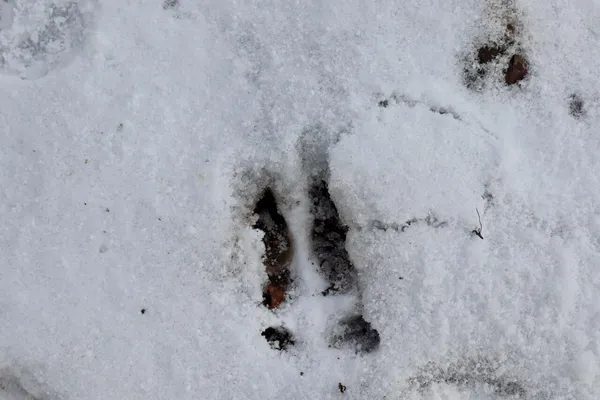 $270,000 | East Long Lake Road, Unit V/L, Harrison, MI 48625