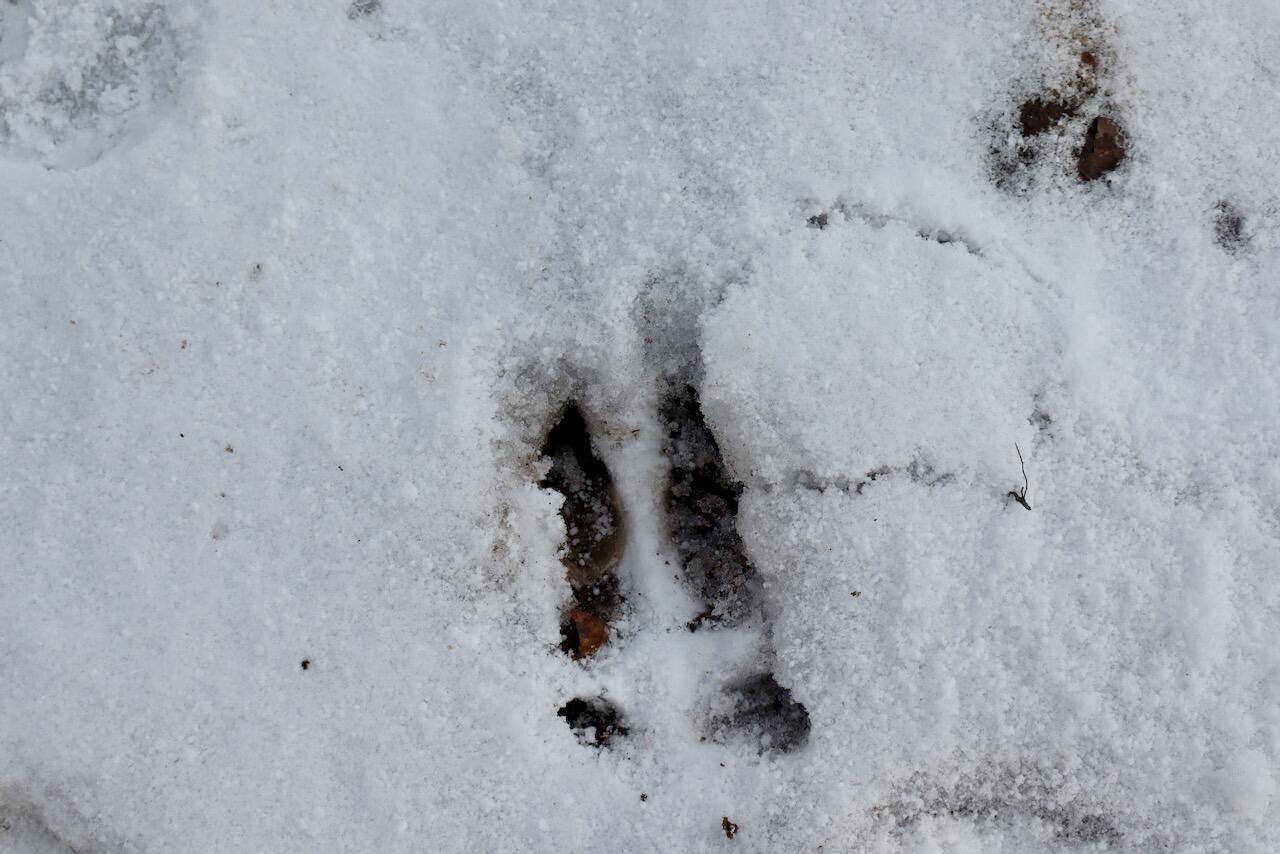 East Long Lake Road, Unit V/L Harrison, MI 48625 - Photo 4 of 38 004