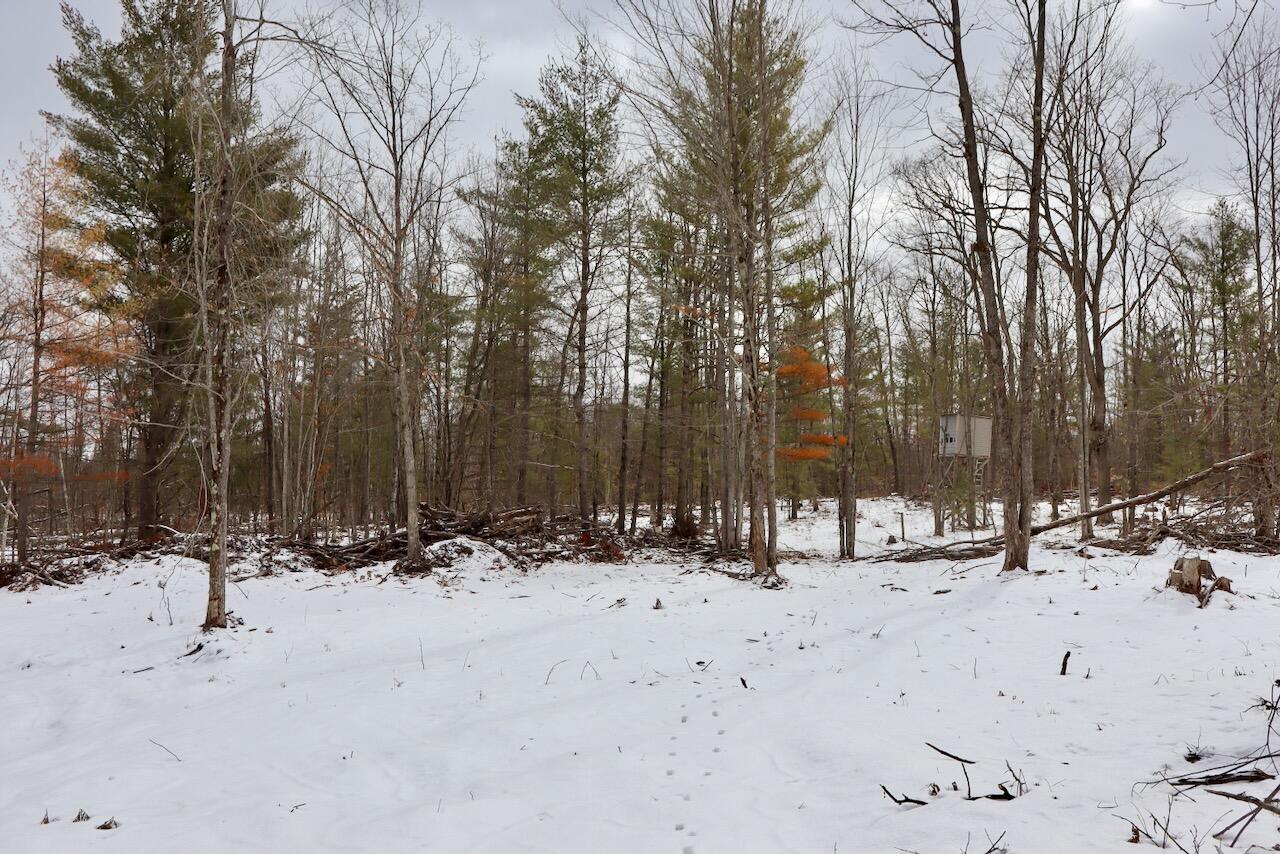 East Long Lake Road, Unit V/L Harrison, MI 48625 - Photo 5 of 38 005