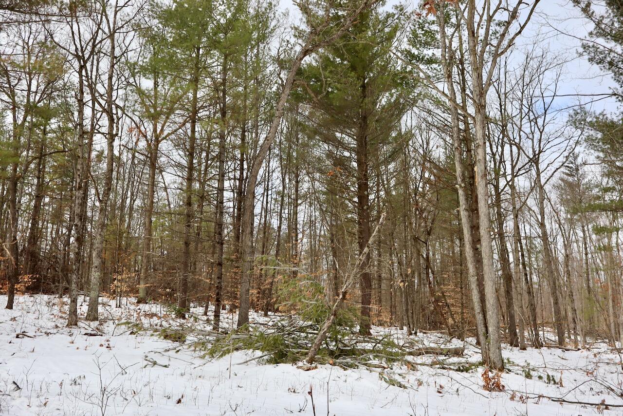 East Long Lake Road, Unit V/L Harrison, MI 48625 - Photo 8 of 38 008