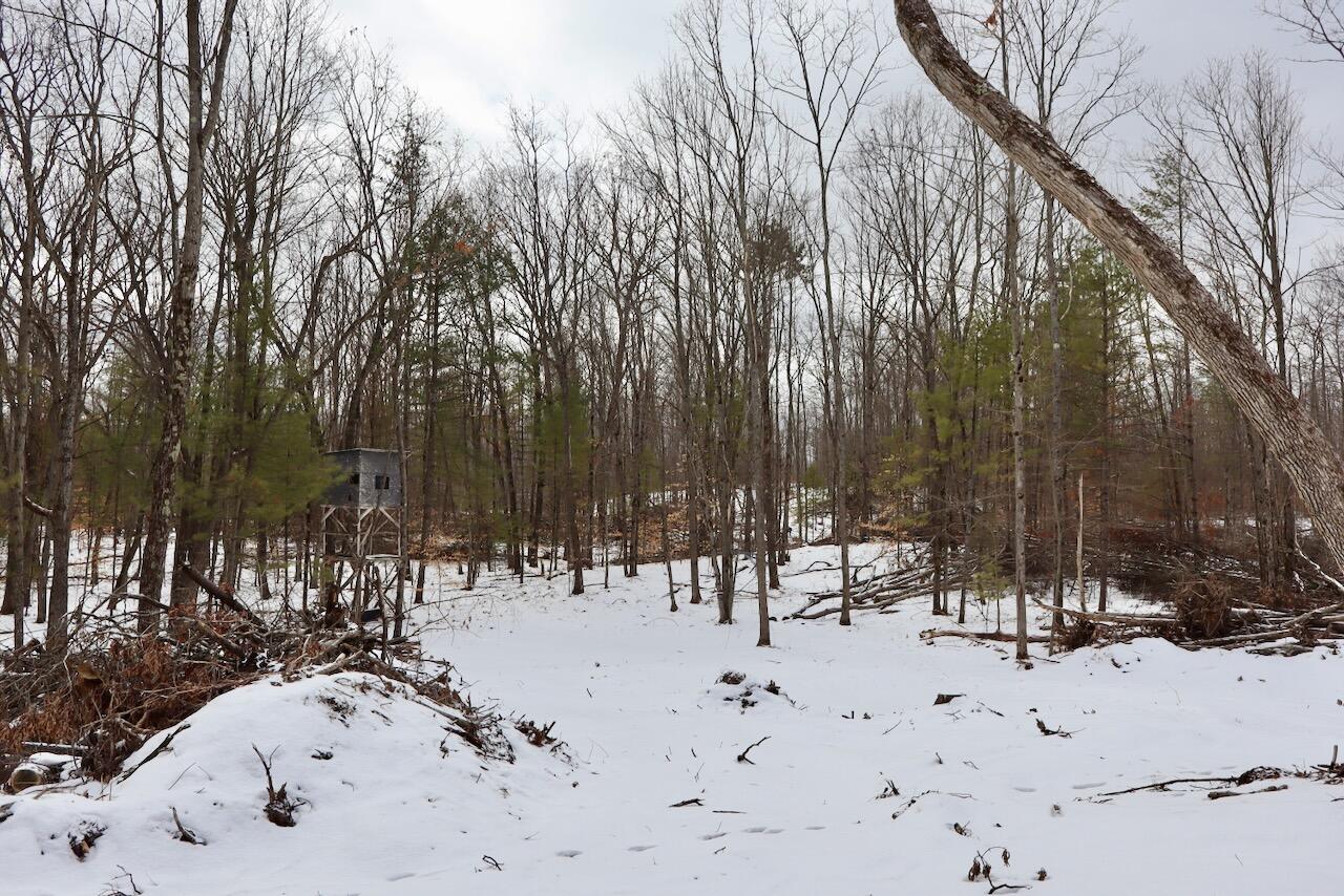 East Long Lake Road, Unit V/L Harrison, MI 48625 - Photo 9 of 38 009