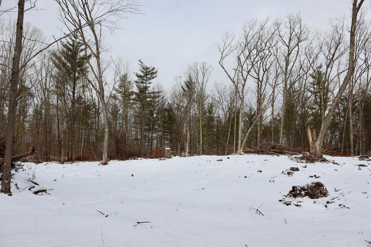 East Long Lake Road, Unit V/L Harrison, MI 48625 - Photo 10 of 38 010