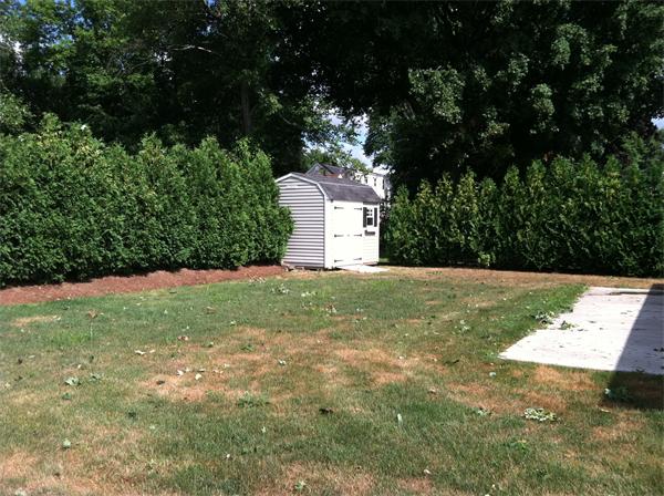 1174 Parker Street Springfield, MA 01129 - Photo 3 of 8 Gallery Image 3