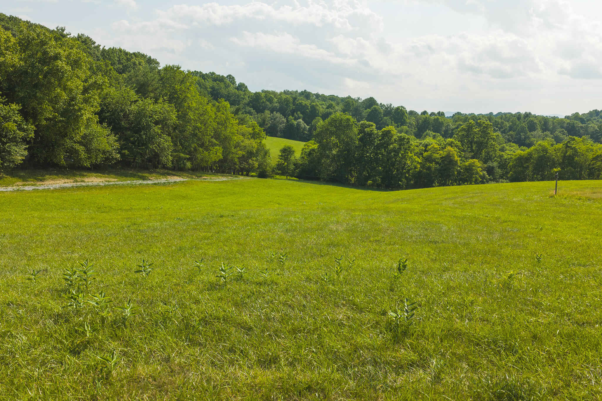 Lot 1 Brush Creek Road Riner, VA 24149 - Photo 12 of 15 DJI_20260629165640_0177_D