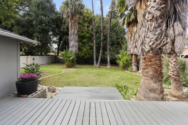 a view of a backyard with potted plants and large trees