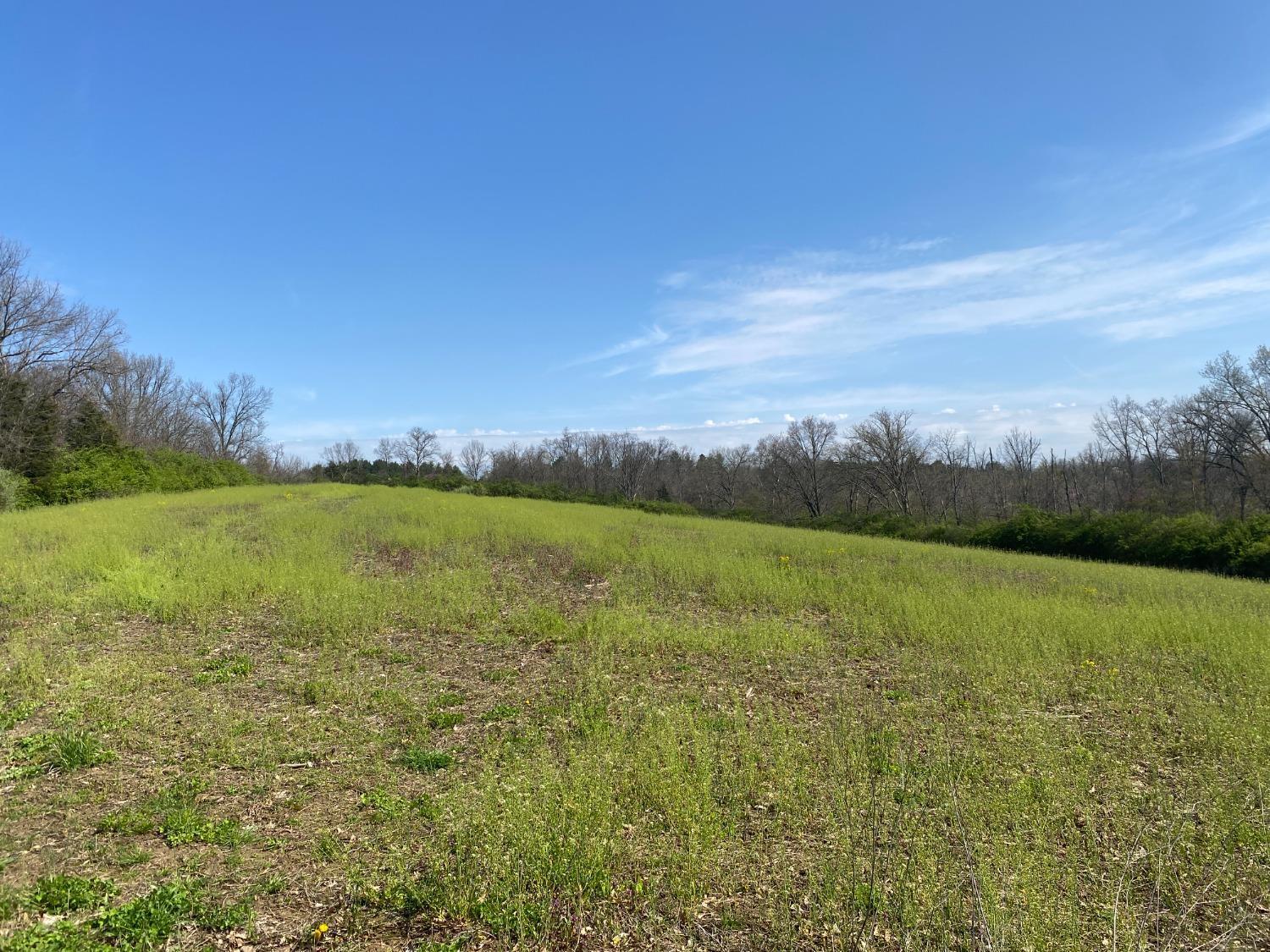 Lot A Morman Road Hamilton, OH 45013 - Photo 9 of 13