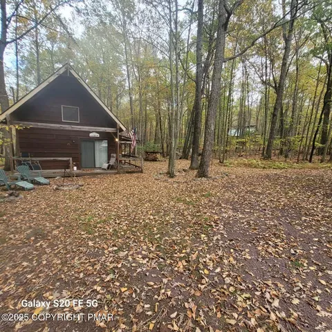 a view of a yard with plants and trees