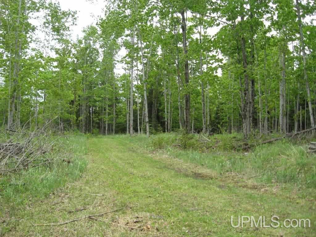 Tbd Co Rd H26 Rock, MI 49880 - Photo 7 of 17