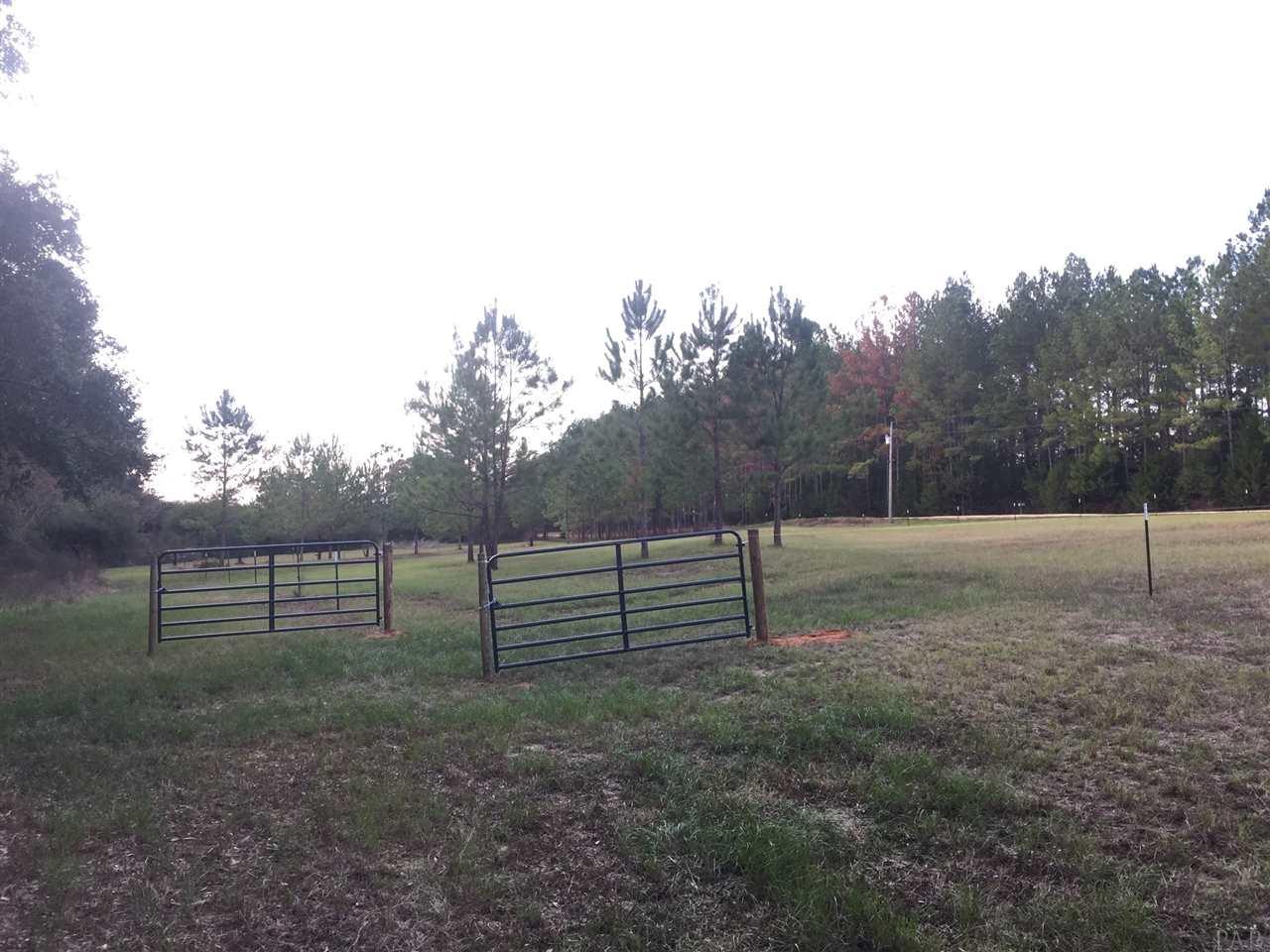 6375 Perfect Acres Road Milton, FL 32570 - Photo 2 of 2 Gallery Image 2