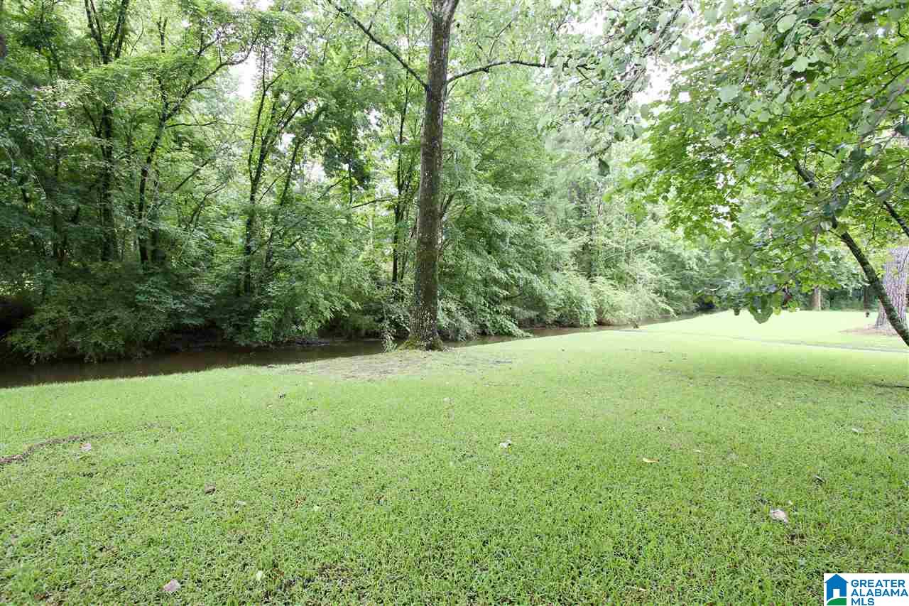 4509 Little Ridge Drive Birmingham, AL 35242 - Photo 28 of 30