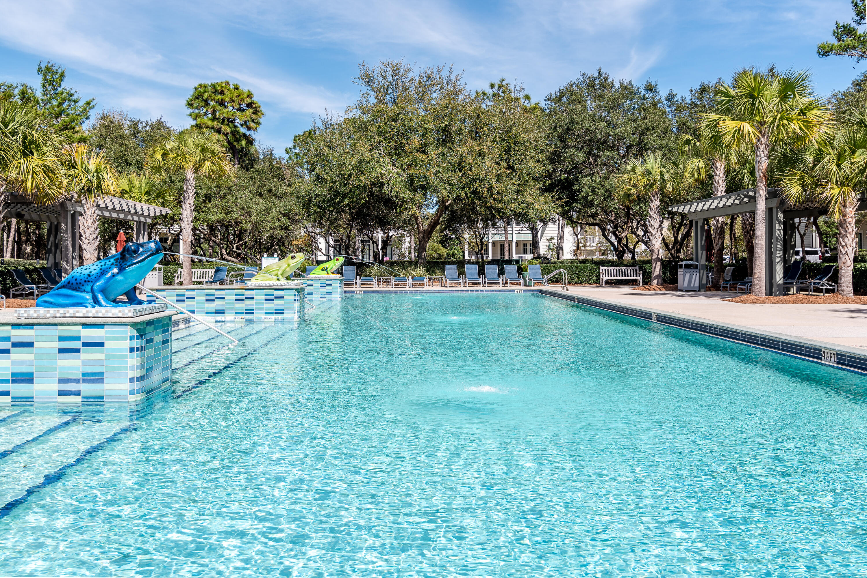 154 Silver Laurel Way Santa Rosa Beach, FL 32459 - Photo 22 of 84 Gallery Image 22