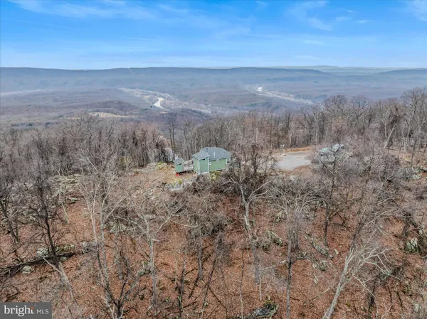 a view of a dry space with lots of trees in the background