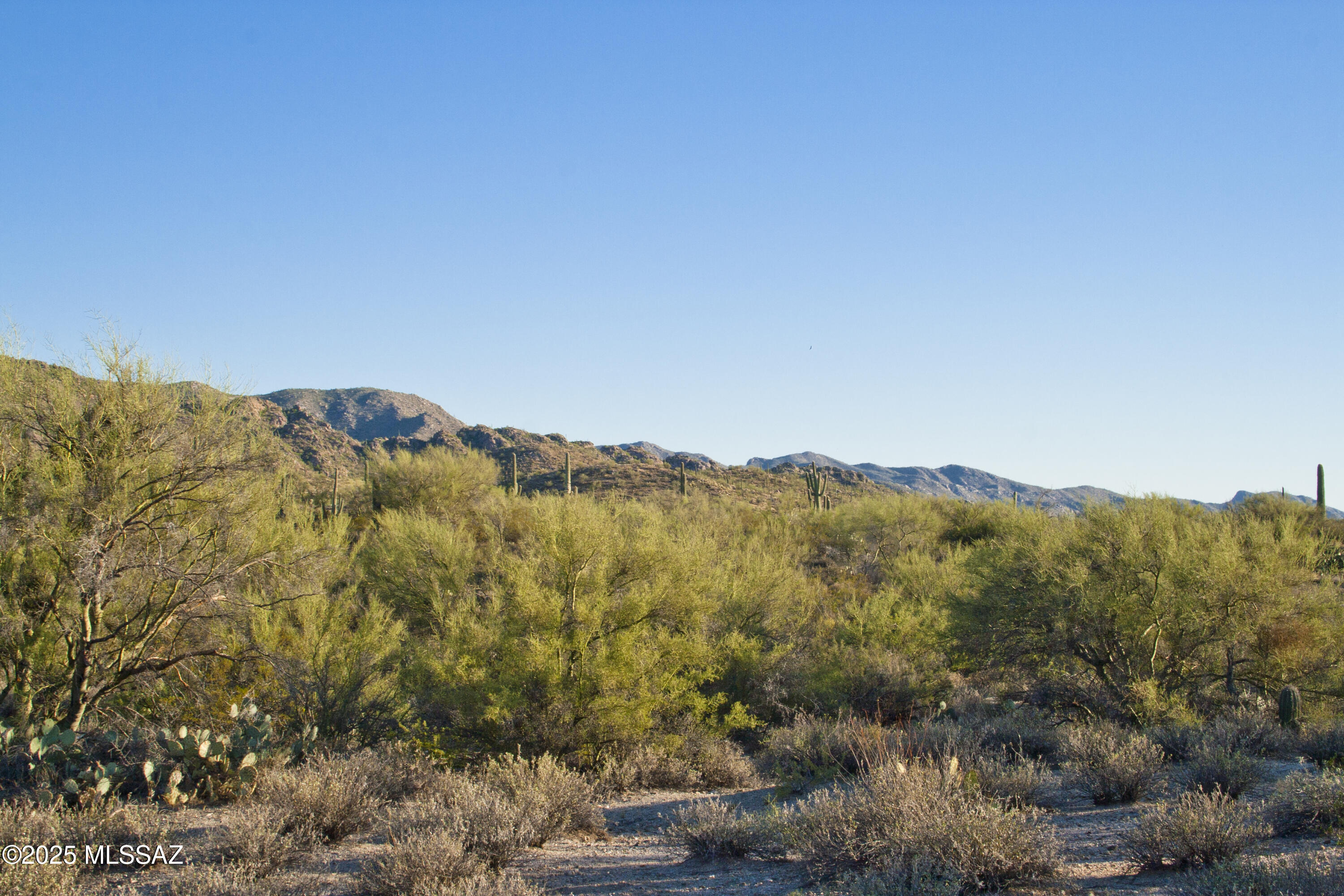 0 Silverian Road Marana, AZ 85658 - Photo 25 of 32
