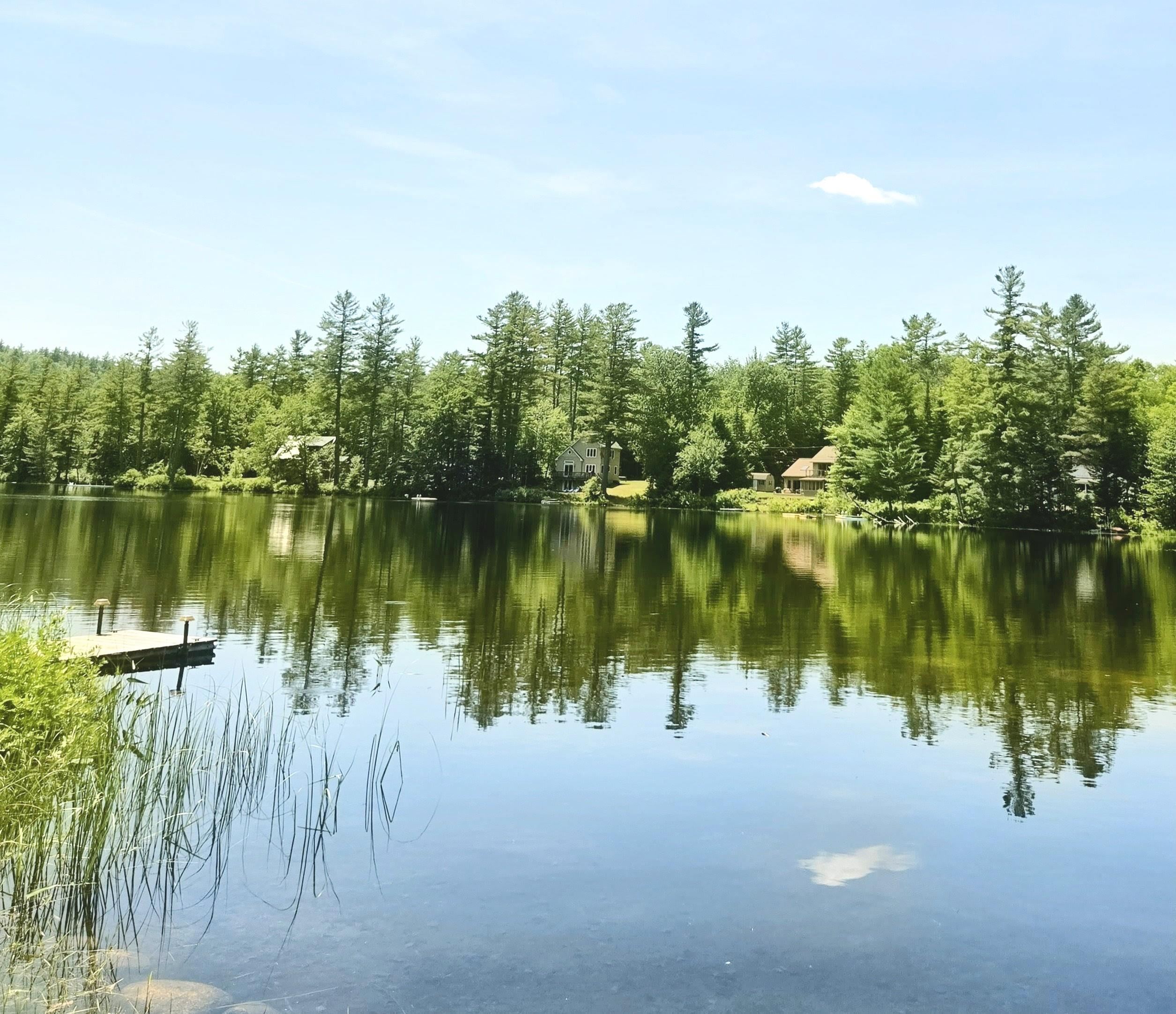 52 Lewin Road Enfield, NH 03748 - Photo 4 of 26