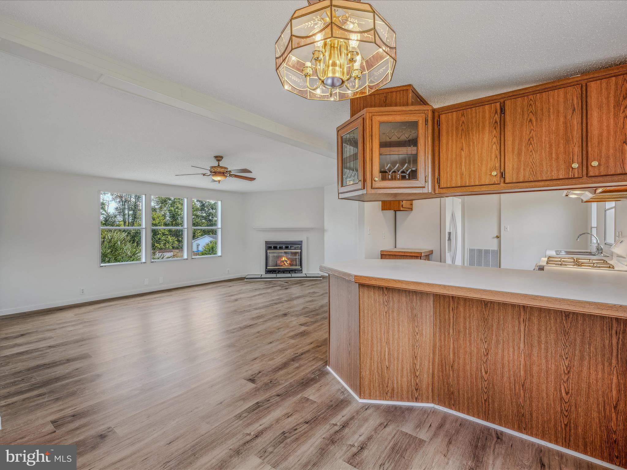 100 Turtle Lane Ranson, WV 25438 - Photo 17 of 37 Living & Dining Room