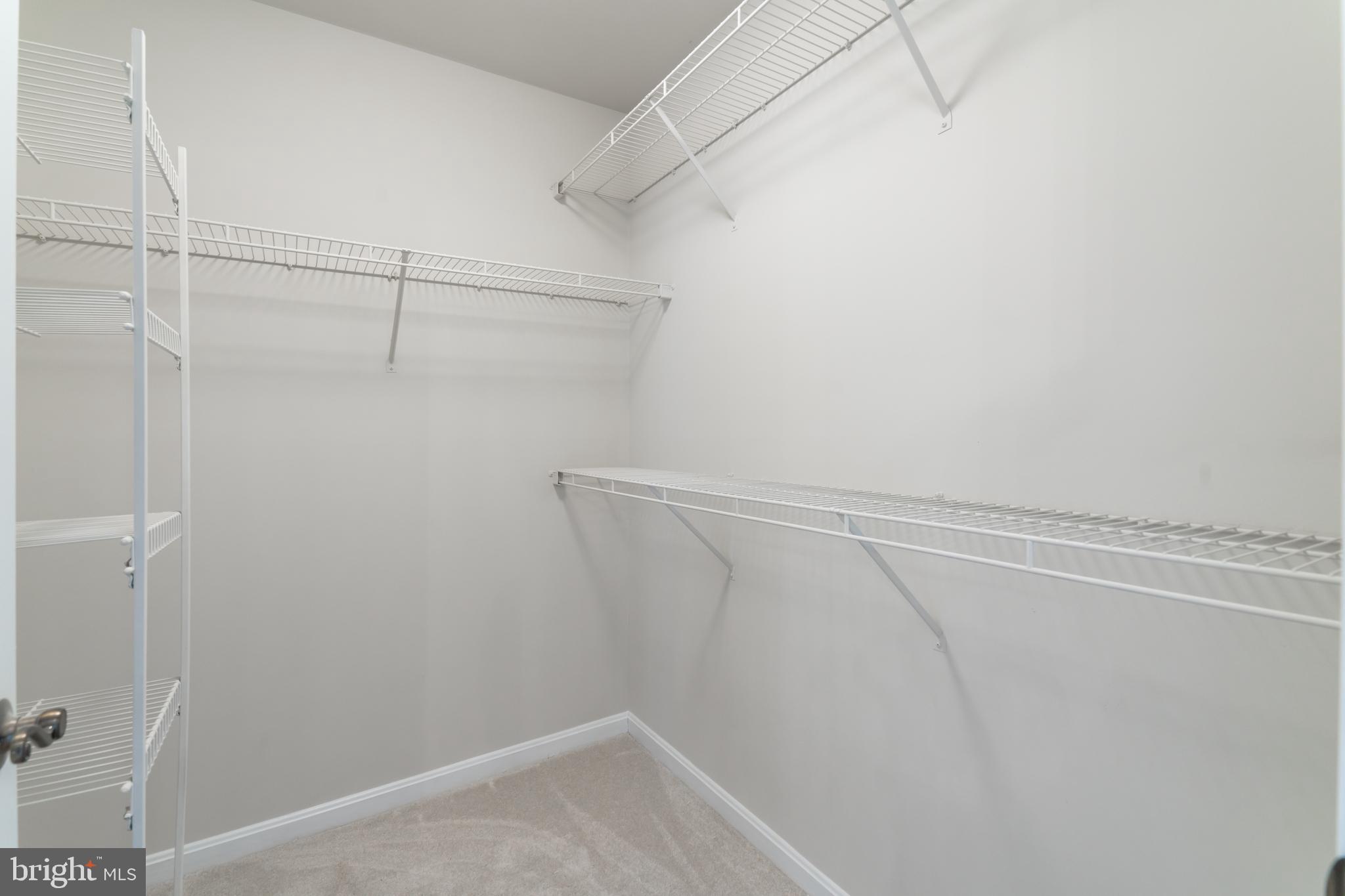 29138 Holly Road Easton, MD 21601 - Photo 26 of 35 Gallery Image 26
