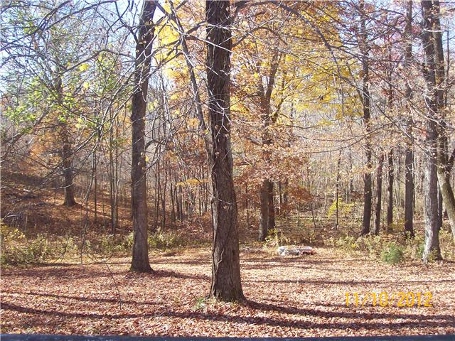 310 Sparrow Road Lafayette, TN 37083 - Photo 3 of 6 Gallery Image 3
