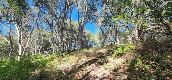 $6,500 | 1961 Vineyard View Lane, San Luis Obispo, CA 93401