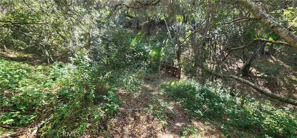 $6,500 | 1961 Vineyard View Lane, San Luis Obispo, CA 93401