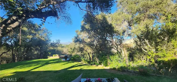 a view of a yard with an trees