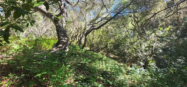 $7,000 | 1961 Vineyard View Lane, San Luis Obispo, CA 93401