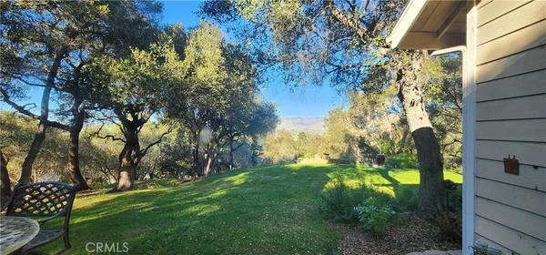 a view of a backyard with plants and garden